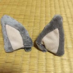 ヴァンくんの耳のサムネイル