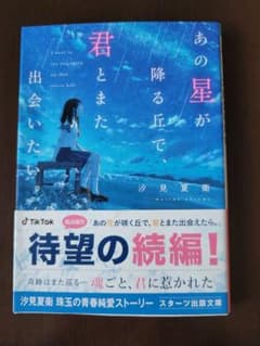 あの星が降る丘で、君とまた出会いたい。のサムネイル