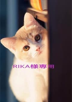 専用のサムネイル