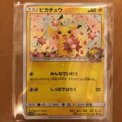 ポケモンカード ピカチュウ　みんなでいわうのサムネイル