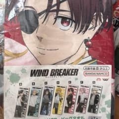 WIND BREAKER ウィンブレ ビッグタオル 蘇枋隼飛