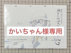 かいちゃん様専用