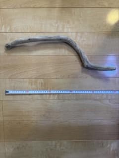 天然流木のサムネイル