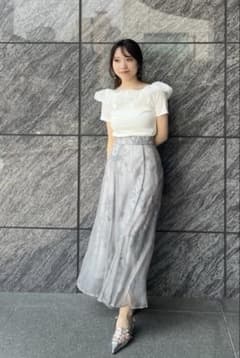 オーガンジーフロッキースカートのサムネイル