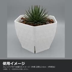 B422 3Dプリンター鉢 作家鉢 六角 麻の葉 4号 白 アガベ 塊根 植木鉢