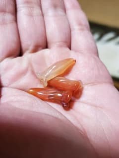 なるまま様専用のサムネイル
