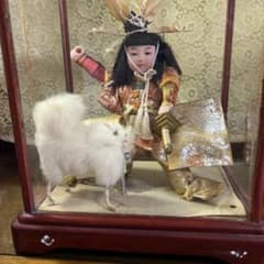 お座り人形 未使用 男女ペア 倉庫保管品 昭和 胡粉入れ目 複数あります