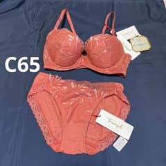 C65/M 트림프 골드 라벨 프리지아의 꽃 브라 쇼츠 세트