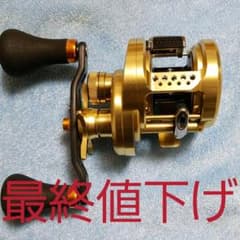 カルカッタコンクエスト200HG(スタコン&かっ飛びベアリングセット)のサムネイル