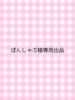 ぽんしゃぶ様専用ページのサムネイル