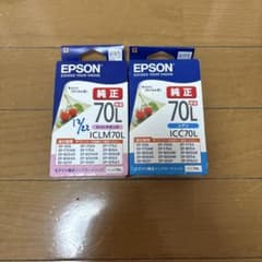 EPSON 純正インクカートリッジ 70L 2色セットのサムネイル