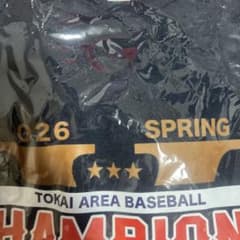 TOKAI AREA BASEBALL Tシャツのサムネイル