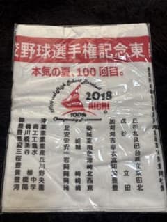 第100回全国高等学校野球選手権記念 愛知大会 タオルのサムネイル