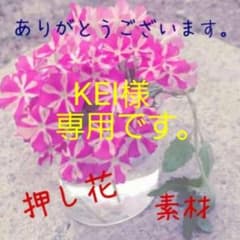 KEI様　専用です。　押し花素材のサムネイル