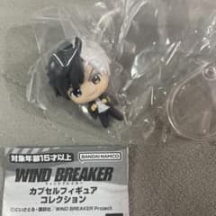 WIND BREAKER 윈브레 캡슐 피규어 컬렉션 벚꽃 하루카