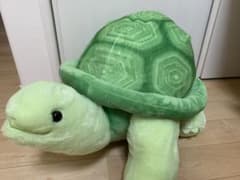 のこのこリクガメ　ぬいぐるみ　big 緑のサムネイル