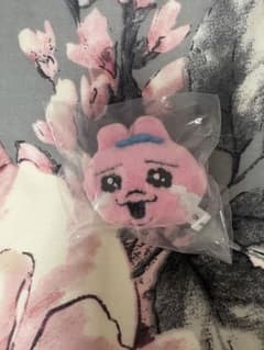 おぱんちゅうさぎ　ミラー付きキーリングハンガー　マスコット ぬいぐるみのサムネイル