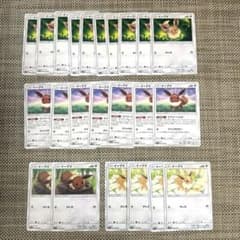 ポケカ48枚イーブイSM8bエナジーしんかSM12aしっぽにとまれSM6 SM8 ポケカ48枚イーブイSM8bエナジーしんかSM12aしっぽにとまれSM6 SM8