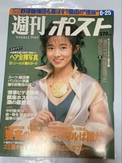 週刊ポスト 1993年6月25日号のサムネイル