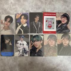 Stray Kids 스키즈 참빈 트레카