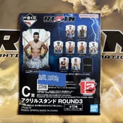 [신품 미개봉] RIZIN 아크릴 스탠드 ROUND3
