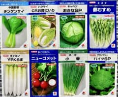 野菜の種【タキイ】今が植え時！美味しいオススメ8種類セットのサムネイル