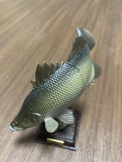 日本の清流 アカメ 増補特装版のサムネイル