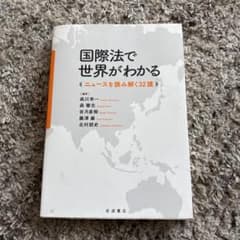 国際法で世界がわかる ニュースを読み解く32講 岩波書店のサムネイル