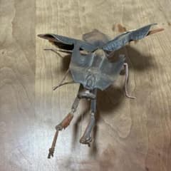 生き物大図鑑 かまきり02 ヒシムネカレハカマキリ（ダークブラウン）のサムネイル