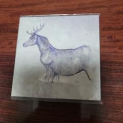米津玄師 馬と鹿 CD,DVDのサムネイル