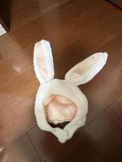 ウサギファーハットのサムネイル