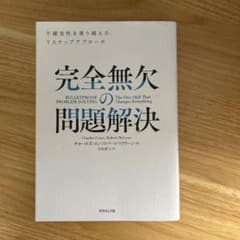 完全無欠の問題解決のサムネイル