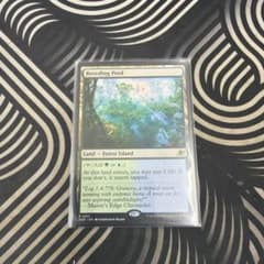 MTG 繁殖池/Breeding Pool 1枚英語 - メルカリ