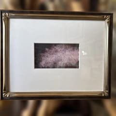 油彩画 枝垂れ桜　衣笠角紋いぶし銀額縁付き　新品未使用 油彩画 枝垂れ桜 衣笠角紋いぶし銀額縁付き 新品未使用 - メルカリ