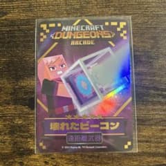 マイクラダンジョンズ 壊れたビーコン #20/98のサムネイル