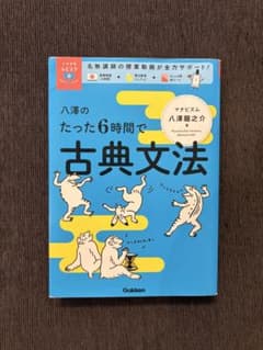 八澤のたった6時間で古典文法のサムネイル