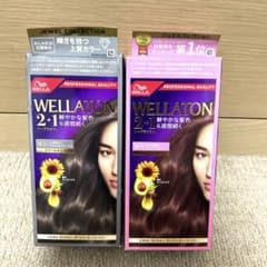 ヘアカラー セット ウエラトーン ツープラスワン クリームヘアカラー 8CG & 9PB セット