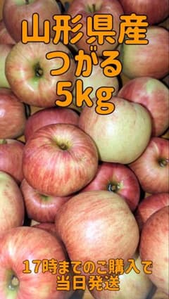 山形県産　りんご　つがる　5kg 自家用向きのサムネイル