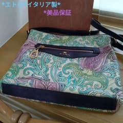 ETRO人気のブランドエトロ　ショルダーバッグ　*型押しレザー*イタリア製*のサムネイル