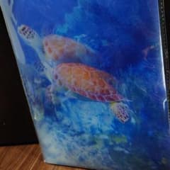 바다 거북 문서 홀더 바다 제목 파일 3D