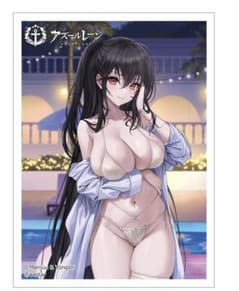 アズールレーン 描き下ろしB2タペストリー 2種セットのサムネイル