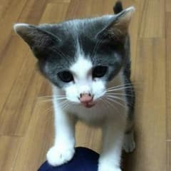 あっちゃま様専用☆のサムネイル