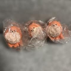 【おすわり〜ぬ4】おれんじ ぽめ〜ぬ✖️3のサムネイル