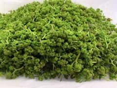 京丹波産　花山椒特A品　50gのサムネイル