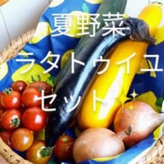 夏野菜　長野県産　ラタトゥイユ詰め合わせセット　バジル&ローズマリー付のサムネイル