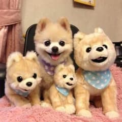 たると様専用のサムネイル