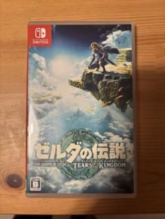 Switch판 젤다의 전설 티어즈 오브 더 킹덤