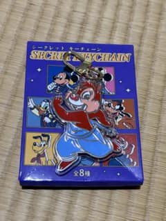 【新品未使用※箱なし】ディズニーストア シークレットキーチェーン デールのサムネイル