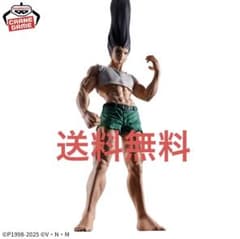 HUNTER×HUNTER ゴンさんフィギュア Amazon.co.jp: ゴン フィギュア フィグライフ! ハンターハンター