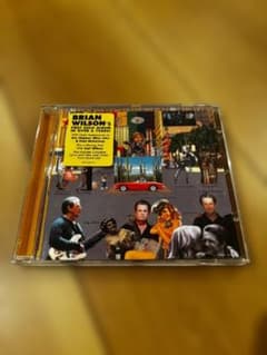 BRIAN WILSON GETTIN' IN OVER MY HEAD CDのサムネイル